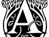 a12