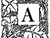 a19