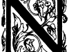 n03