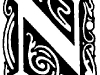 n26