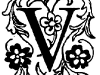 v24