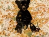 baer-3