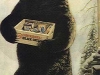 baer
