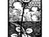 123